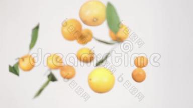 在白色背景下，许多橘黄色的缓慢移动